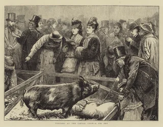Visitors at the Cattle Show, a Pig Pen